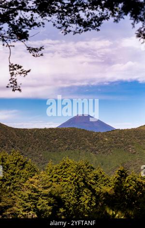 Vue sur le mont Fuji depuis les montagnes de Hakone, Japon © Giorgia de Dato Banque D'Images