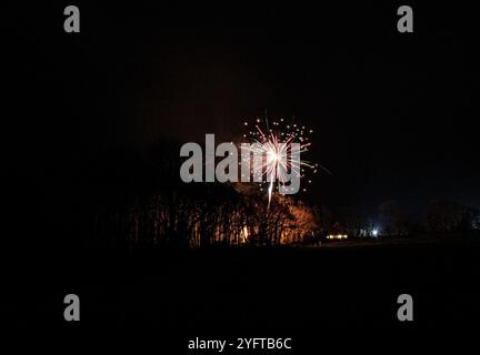 Feux d'artifice contre un ciel sombre habitent le 4 juillet nuit de feu de joie du nouvel an Banque D'Images