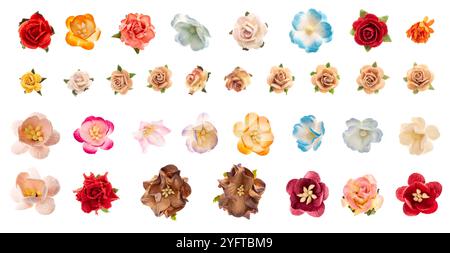 Collection de diverses fleurs artificielles dans plusieurs couleurs et styles, prise de vue en studio. Ensemble de fleurs en papier pour scrapbooking, isolé sur backgrou blanc Banque D'Images