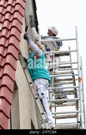 Malerin kratzt mit einer Drahtbürste die alte Farbe auf denHolzteilen, dem Dachüberstand an einem Haus ab. SIE steht auf einer Leiter, Vorarbeiten zum Malern des Dachüberstands, modèle libéré für redaktionelle Nutzung, Dachüberstand streichen *** le peintre utilise une brosse métallique pour gratter la vieille peinture sur les parties en bois, le surplomb du toit sur une maison elle se tient sur une échelle, travaux préparatoires pour peindre le surplomb du toit, modèle libéré pour usage éditorial, peindre le surplomb du toit 20241105-DSC 8793 Banque D'Images