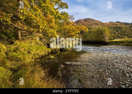 La rivière Derwent coule à travers Borrowdale, Lake District, Cumbria, Angleterre Banque D'Images