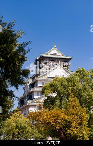 Automne au château d'Osaka, Osaka, Kansai, Japon Banque D'Images