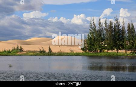 Beau paysage avec lac et dunes blanches près de Mui ne place, Vietnam Banque D'Images