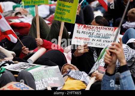 2 Nov 2024. Palestine Solidarity Coalition march, Londres, Royaume-Uni. Les protestataires ont organisé un die-in devant Downing équipé Banque D'Images