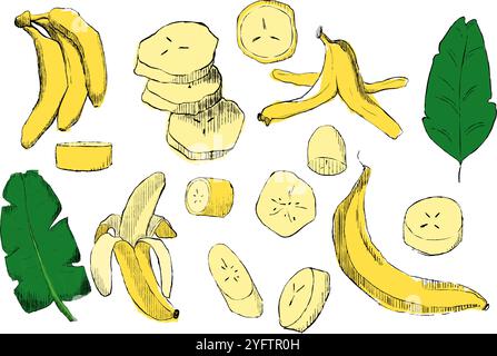 Ensemble banane graphique dessiné à la main. Dessin simple de bananes entières, pelées, tranchées, hachées, pelées vides, feuilles tropicales. Illustration vectorielle Illustration de Vecteur