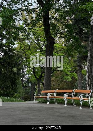 Des bancs de parc en bois bordent une passerelle ombragée sous de grands arbres feuillus, créant un endroit paisible pour la détente Banque D'Images