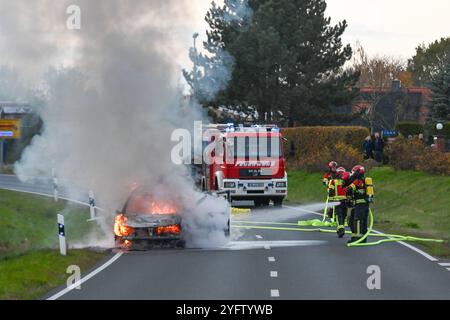 Leisnig - 38-jähriges Löschfahrzeug kaputt Feuerwehr kann Pkw-Brand zunächst nicht löschen, Kameraden verägert 02.11.2024 gegen 15,45 Uhr Leisnig OT Minkwitz, Minkwitzer Landstraße Zu einem gefährlichen Feuerwehreinsatz kam es am Samstagnachmittag unweit des mittelsächsischen Leisnig. Gegen 15,45 Uhr wurde die Feuerwehr Leisnig zu einem Pkw-Brand auf die Minkwitzer Landstraße im Ortsteil Minkwitz alarmiert. Dort brannte ein VW einer Frau voll aus, nachdem diese auf dem Weg von Leisnig nach Waldheim bereits unterwegs Kraftstoffgeruch wahrgenommen hatte. Ihren Angaben zufolge kam es auf dem Weg Banque D'Images