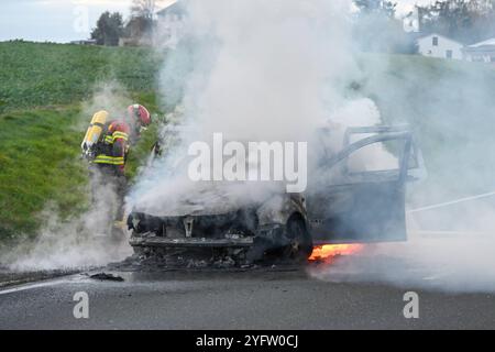 Leisnig - 38-jähriges Löschfahrzeug kaputt Feuerwehr kann Pkw-Brand zunächst nicht löschen, Kameraden verägert 02.11.2024 gegen 15,45 Uhr Leisnig OT Minkwitz, Minkwitzer Landstraße Zu einem gefährlichen Feuerwehreinsatz kam es am Samstagnachmittag unweit des mittelsächsischen Leisnig. Gegen 15,45 Uhr wurde die Feuerwehr Leisnig zu einem Pkw-Brand auf die Minkwitzer Landstraße im Ortsteil Minkwitz alarmiert. Dort brannte ein VW einer Frau voll aus, nachdem diese auf dem Weg von Leisnig nach Waldheim bereits unterwegs Kraftstoffgeruch wahrgenommen hatte. Ihren Angaben zufolge kam es auf dem Weg Banque D'Images