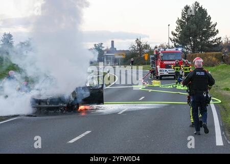 Leisnig - 38-jähriges Löschfahrzeug kaputt Feuerwehr kann Pkw-Brand zunächst nicht löschen, Kameraden verägert 02.11.2024 gegen 15,45 Uhr Leisnig OT Minkwitz, Minkwitzer Landstraße Zu einem gefährlichen Feuerwehreinsatz kam es am Samstagnachmittag unweit des mittelsächsischen Leisnig. Gegen 15,45 Uhr wurde die Feuerwehr Leisnig zu einem Pkw-Brand auf die Minkwitzer Landstraße im Ortsteil Minkwitz alarmiert. Dort brannte ein VW einer Frau voll aus, nachdem diese auf dem Weg von Leisnig nach Waldheim bereits unterwegs Kraftstoffgeruch wahrgenommen hatte. Ihren Angaben zufolge kam es auf dem Weg Banque D'Images