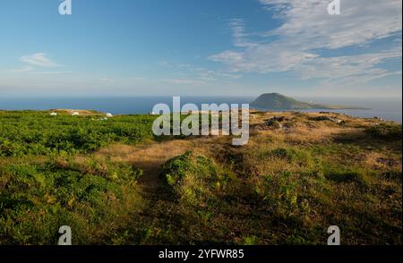 Vue depuis la montagne galloise, Mynydd Mawr sur la péninsule de Llyn, regardant à travers Bracken et fougères vers l'île de Bardsey. Banque D'Images