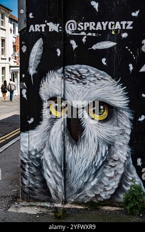 Graffiti hibou par @SPRAYCATZ sur un mur dans les laines du Nord, Brighton Banque D'Images