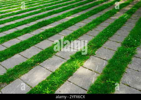 Pavés dalles de béton alignées dans la pelouse, lignes d'herbe disposition symétrique entre les lignes de dalles de béton dans la place publique de la ville, idée de conception de parc Banque D'Images