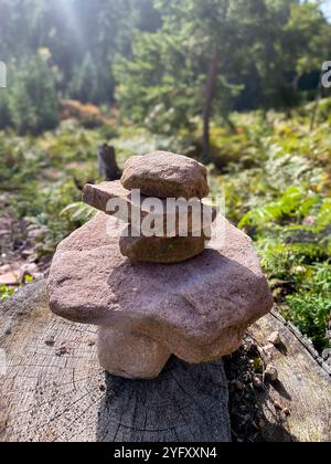 Aufeinander geschichtete Steine - Achsamkeitsübung im Friedwald Schwarzwald Banque D'Images