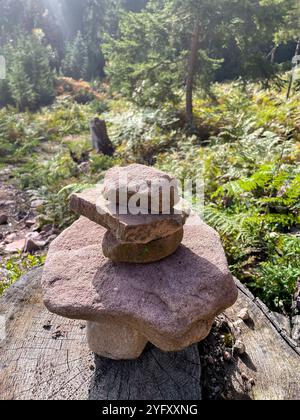 Aufeinander geschichtete Steine - Achsamkeitsübung im Friedwald Schwarzwald Banque D'Images