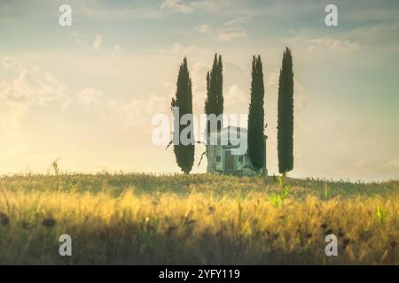 Petite église San Pierino abandonnée avec quatre cyprès près près de Ponsacco. Province de Pise, région Toscane, Italie Banque D'Images