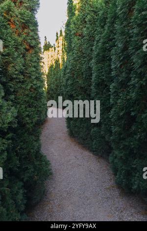 Labyrinthe Path Trees Garden - Un chemin de gravier serpente à travers de hautes haies vertes dans un labyrinthe menant à un château au loin. Banque D'Images