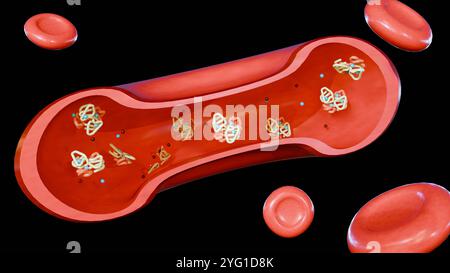 rendu 3d de la section transversale d'un vaisseau sanguin, mettant en évidence les composants complexes du sang. Banque D'Images