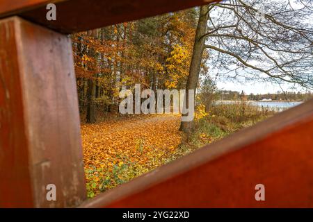 Paysage près du réservoir à Blachownia, une promenade autour du lac en automne Banque D'Images