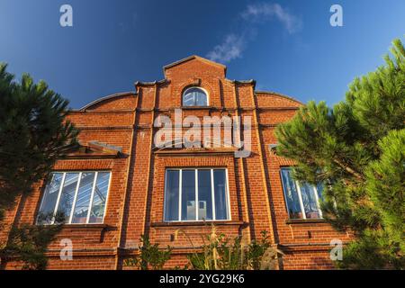 IRLANDE DU NORD, BELFAST, JARDINS BOTANIQUES, LE RAVIN TROPICAL Banque D'Images