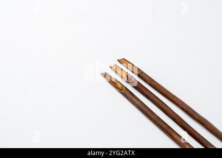 Ensemble de roseaux de calligraphie isolés sur fond blanc. Encre pour stylo à roseaux pour écrire la calligraphie arabe Banque D'Images