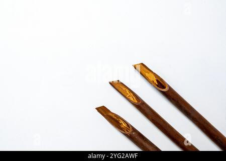 Ensemble de roseaux de calligraphie isolés sur fond blanc. Encre pour stylo à roseaux pour écrire la calligraphie arabe Banque D'Images
