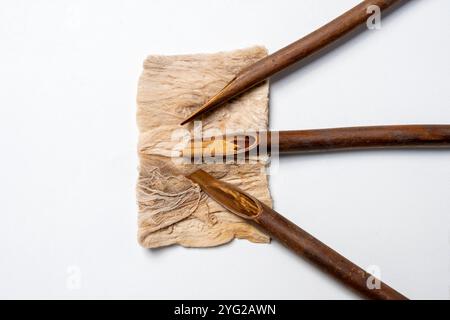 Ensemble de roseaux de calligraphie isolés sur fond blanc. Encre pour stylo à roseaux pour écrire la calligraphie arabe Banque D'Images