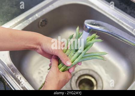 Les mains d'une femme lavant des haricots verts frais dans une cuisine Banque D'Images