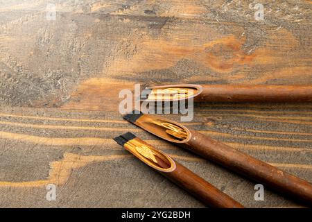 Ensemble de roseaux de calligraphie couvert d'encre sur fond de bois. Encre pour stylo à roseaux pour écrire la calligraphie arabe Banque D'Images