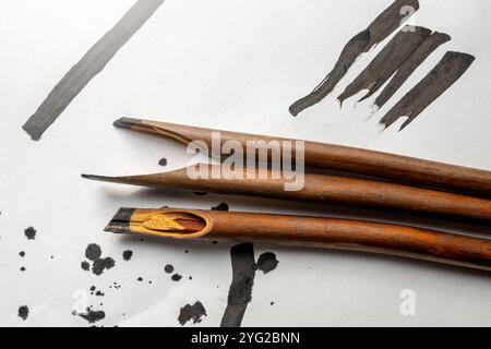 Ensemble de roseaux de calligraphie couvert d'encre sur papier blanc. Encre pour stylo à roseaux pour écrire la calligraphie arabe Banque D'Images