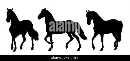 Silhouette noire de beau cheval. Dessin équin. Jeu de chevaux. Banque D'Images