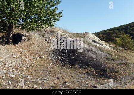 Terrain rocheux vallonné avec des plantes, avec fond de forêt, nature Banque D'Images