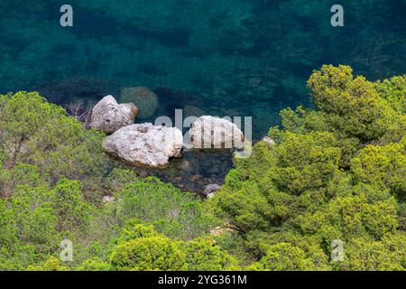 Arbres verts côtiers en harmonie avec le paysage aquatique. Vue aérienne des cimes des arbres et des rochers dans l'eau de mer Banque D'Images