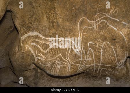 FRANCE. ARDÈCHE (07) - VALLON PONT D'ARC - VISITE EXCLUSIVE DE LA GROTTE ORNÉE DU PONT D'ARC, CONNUE SOUS LE NOM DE GROTTE CHAUVET : SALLE HILAIRE. PANNEAU DE L'ENGRAV Banque D'Images