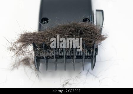 Des cheveux tondeuse à cheveux Banque D'Images