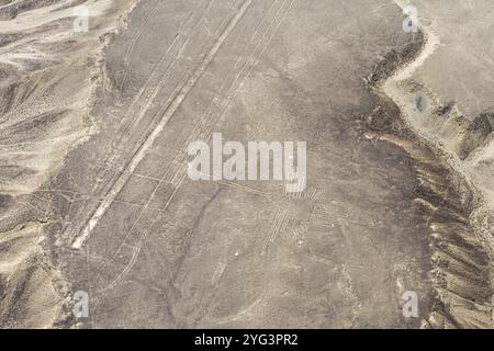 Aérien, le colibri, géoglyphe de Nazca, lignes de Nazca, Nazca, Pérou, Amérique du Sud Banque D'Images