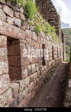 Complexe Inca à Pisac, Vallée sacrée des Incas, Cusco, Pérou, Amérique du Sud Banque D'Images