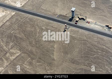 Aérien, L'arbre et les mains, géoglyphe de Nazca, lignes de Nazca, Nazca, Pérou, Amérique du Sud Banque D'Images