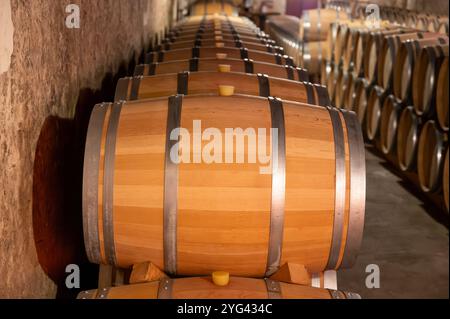 Cave à vin avec fûts de chêne français pour le vieillissement du vin rouge issu du cépage Cabernet Sauvignon, vignobles du Haut-Médoc à Bordeaux, rive gauche de G. Banque D'Images