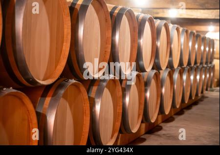 Cave à vin avec fûts de chêne français pour le vieillissement du vin rouge issu du cépage Cabernet Sauvignon, vignobles du Haut-Médoc à Bordeaux, rive gauche de G. Banque D'Images