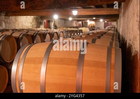 Cave à vin avec fûts de chêne français pour le vieillissement du vin rouge issu du cépage Cabernet Sauvignon, vignobles du Haut-Médoc à Bordeaux, rive gauche de G. Banque D'Images