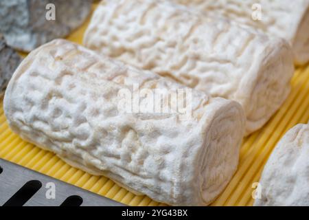 Fromage de chèvre blanc mature bio français buche de brebis avec moisissure blanche en gros plan sur le marché fermier en Dordogne Banque D'Images