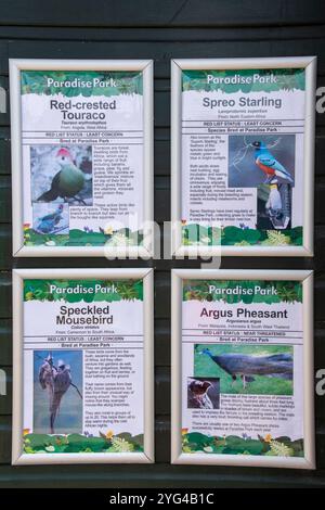 Cornwall, Royaume-Uni – 19 juin 2024 : informations sur les espèces et les habitats des oiseaux captifs au Paradise Park, Hayle Banque D'Images