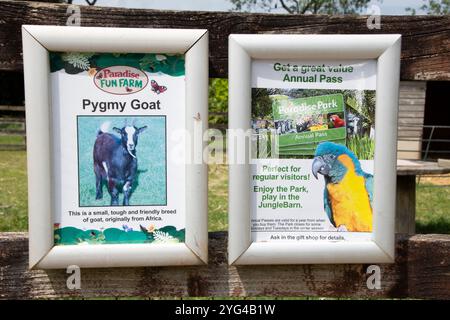 Cornwall, Royaume-Uni – 19 juin 2024 : panneaux d'information Pygmy Goat et Annual Pass à Paradise Park, Hayle Banque D'Images