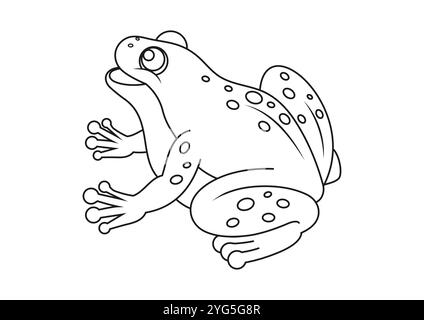 Dessins plats de vecteur grenouille de dessin animé noir et blanc, idéal pour les pages de coloriage, isolé sur fond blanc Illustration de Vecteur