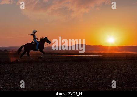 silhouette cow-girl dans le coucher du soleil galopant dans la prairie près d'un trou d'eau Banque D'Images