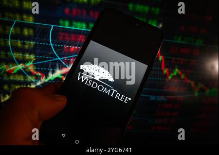 Pologne. 06 novembre 2024. Dans cette illustration photo, un logo WisdomTree est affiché sur un smartphone avec des pourcentages boursiers en arrière-plan. (Photo de Omar marques/SOPA images/SIPA USA) *** strictement à des fins éditoriales *** crédit : SIPA USA/Alamy Live News Banque D'Images