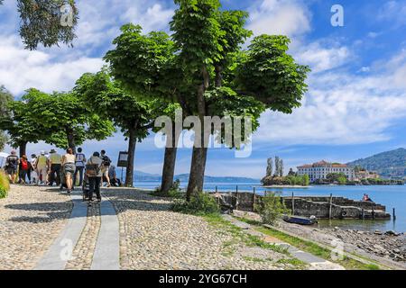 Une avenue d’arbres sur Isola Pescatori (île des pêcheurs), ou Isola Superiore, les îles Borromées, Stresa, le lac majeur, Italie Banque D'Images