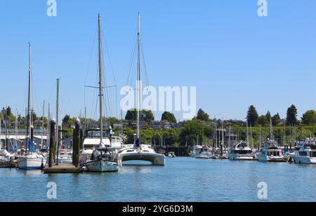 Bateaux amarrés yachts catamaran et bateaux à moteur au soleil à Everett Marina Puget Sound Seattle Washington State USA Banque D'Images