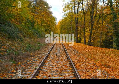 Paysage pittoresque de voies ferrées s'étendant au loin dans la forêt d'automne. Banque D'Images