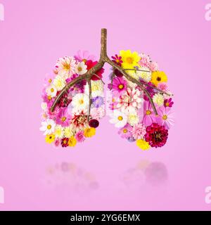 Maquette en forme de poumons humains faite de fleurs avec reflet isolé sur fond rose. Concept d'air frais, environnement propre, santé humaine. Journée mondiale de la pneumonie. Journée mondiale de la BPCO Banque D'Images